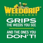 Scotts Turf Builder Weed & Feed, 14.29 lbs