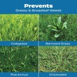 Scotts Turf Builder Crabgrass Preventer & Fertilizer