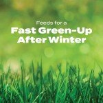 Scotts Turf Builder Crabgrass Preventer & Fertilizer
