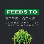 Scotts Turf Builder Southern Triple Action Fertilizer