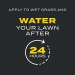 Scotts Turf Builder Triple Action Lawn Care 4,000 sq. ft