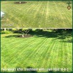 Organic Lawn Food 10-0-2, 15 LB Bag