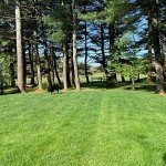 Organic Lawn Food 10-0-2, 15 LB Bag