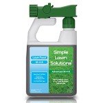 Balanced Liquid Fertilizer for Any Grass Type