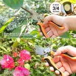 Stainless Steel Gardening Tool Set with Tote Bag