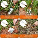 Stainless Steel Gardening Tool Set with Tote Bag