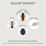 Crawling Insect Killer with Diatomaceous Earth, 4 lbs