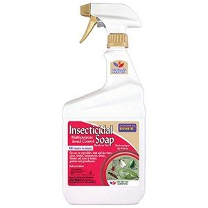 Bonide Insecticidal Soap Spray for Organic Gardening