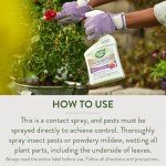 Garden Safe Insecticidal Soap, 32 oz. Ready-to-Use