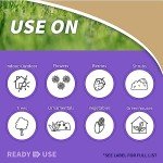 Bonide Insecticidal Soap Spray for Organic Gardening
