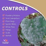 Bonide Insecticidal Soap Spray for Organic Gardening
