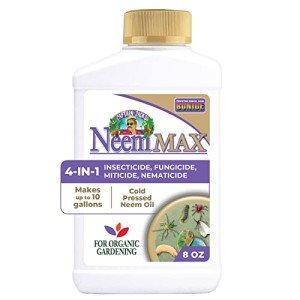 Neem Max Concentrated Neem Oil, 8 oz