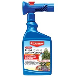BioAdvanced 3-in-1 Insect and Mite Spray 32 oz