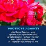 BioAdvanced 3-in-1 Insect and Mite Spray 32 oz