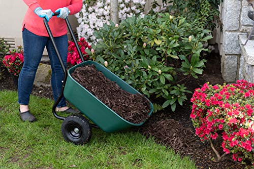Garden Star Dual-Wheel Wheelbarrow/Garden Cart