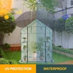 Portable Mini Greenhouse for Gardens - Frost Protection