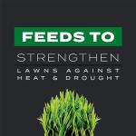 Scotts Turf Builder Southern Triple Action Fertilizer