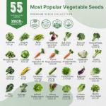 Vegetable Seeds Variety Pack - 55 Non-GMO Seeds