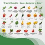 Vegetable Seeds Variety Pack - 55 Non-GMO Seeds