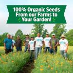 Heirloom Organic Non-GMO Seed Assortment, 30ct