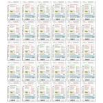 Heirloom Organic Non-GMO Seed Assortment, 30ct