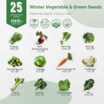 25 Non-GMO Winter Vegetable Seed Variety Pack