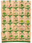 25 Non-GMO Winter Vegetable Seed Variety Pack