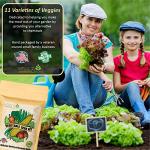 Heirloom Vegetable and Fruit Seeds Variety Pack
