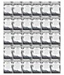 20,000+ Survival Seed Kit for Home Garden