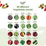 20 Assorted High-Yield Vegetable Seed Pack