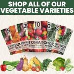 35 Vegetable Seed Packets for Survival Gardening