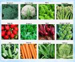 Organic Non-GMO Winter Vegetable Seeds - 12 Varieties