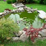 14 x 14 FT Heavy-Duty Pond Liner