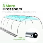 Large Walk-in Greenhouse with Galvanized Steel Frame & Windows