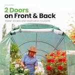 Large Walk-in Greenhouse with Galvanized Steel Frame & Windows