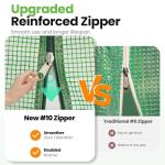 Large Walk-in Greenhouse with Galvanized Steel Frame & Windows