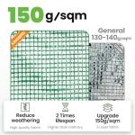 Large Walk-in Greenhouse with Galvanized Steel Frame & Windows