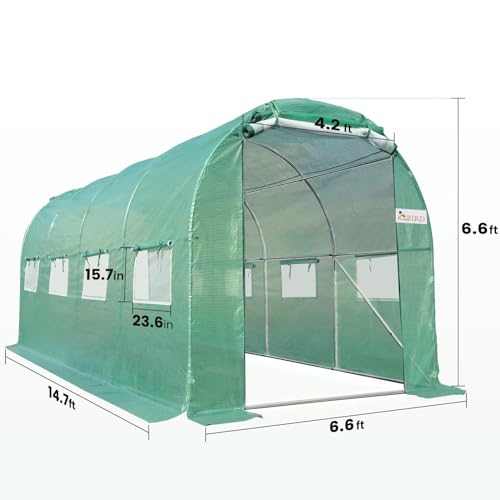 Large Walk-in Greenhouse with Galvanized Steel Frame & Windows