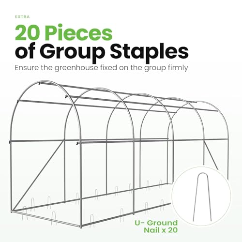 Large Walk-in Greenhouse with Galvanized Steel Frame & Windows