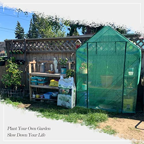 Portable Mini Greenhouse for Gardens - Frost Protection