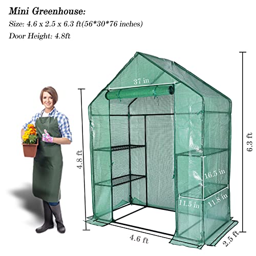 Portable Mini Greenhouse for Gardens - Frost Protection