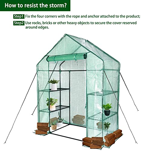 Portable Mini Greenhouse for Gardens - Frost Protection
