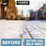 Pet Safe Ice and Snow Melter, 15lb