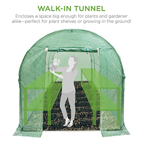 15x7x7ft Walk-in Greenhouse Tunnel for Home Gardening
