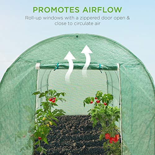 15x7x7ft Walk-in Greenhouse Tunnel for Home Gardening