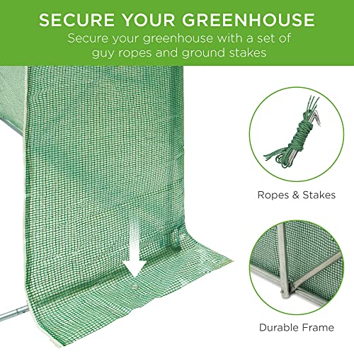 15x7x7ft Walk-in Greenhouse Tunnel for Home Gardening