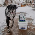 Pet Safe Ice Melt - Calcium Chloride Free 18 lb