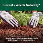 Organic Shredded Mulch by Miracle-Gro, 1.5 cu. ft