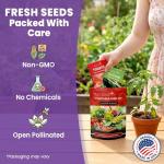 Heirloom Vegetable and Fruit Seeds Variety Pack