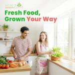 Heirloom Vegetable and Fruit Seeds Variety Pack